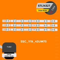 SSC_Y19_43UM75
